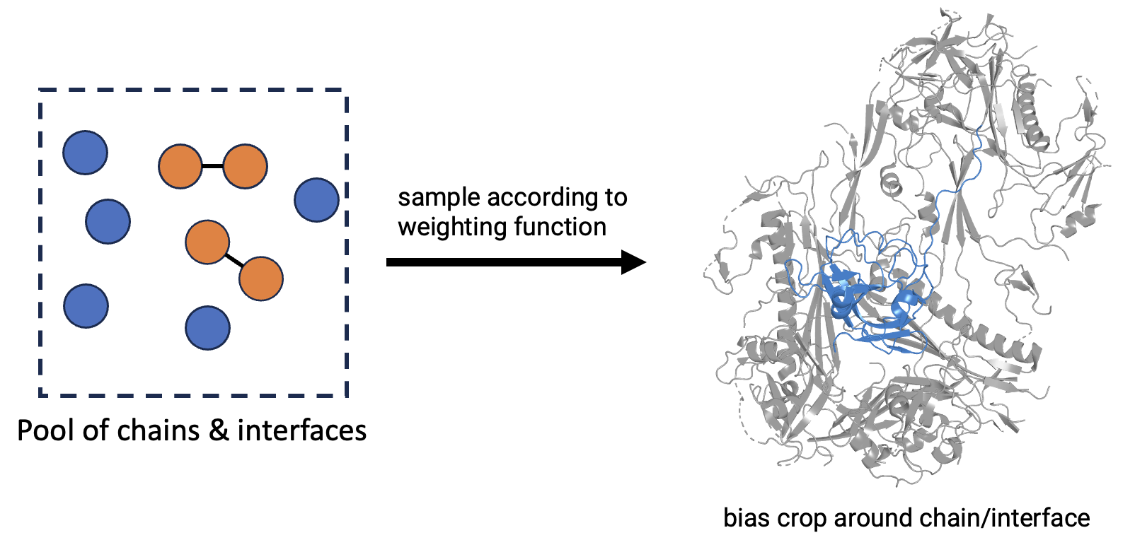 Chain and Interface Sampling